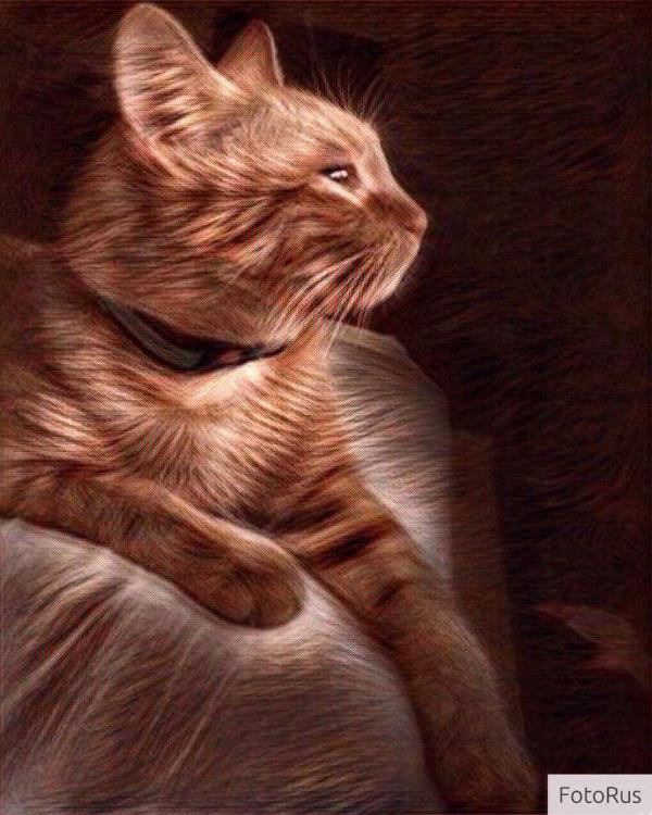 /Images/uploads/Humane Society of Utah/HSU2018/entries/4056thumb.jpg
